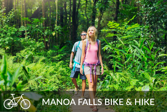 Manoa Falls Bike & Hike