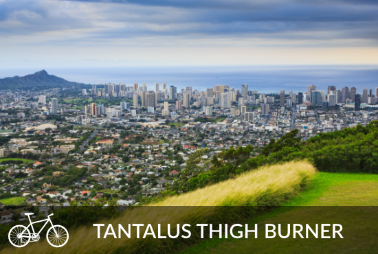 Tantalus Thigh Burner